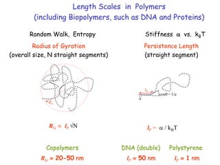 Length Scales in Polymers
(including Biopolymers, such as DNA and Proteins)
Random Walk, Entropy Stiffness  vs. kBT
Persistence Length
(straight segment)
lP =  / kBT
DNA (double) Polystyrene
lP  50 nm lP  1 nm
lP
cos = 1/e
a
Radius of Gyration
(overall size, N straight segments)
RG  lP N
Copolymers
RG  20-50 nm
RG
 