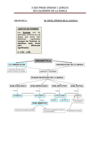 3 ESO PMAR UNIDAD 1 LENGUA
IES CALDERÓN DE LA BARCA
GRAMÁTICA: EL NIVEL FÓNICO DE LA LENGUA
¿QUÉ ES UN FONEMA?
Los fonemas...