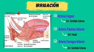 Irrigación