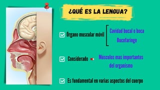 ¿qué es la lengua?