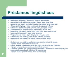 Préstamos lingüísticos Helenismos (del griego): democracia, púrpura, metabolismo. Germanismos (de lenguas germánicas): blanco, aspa, ropa, gana. Arabismos (del árabe): taza, albañíl, azúcar, berenjena, arroz, zanahoria. Galicismos (del gallego): fraile, bastón, salvaje, equipaje, bufanda. Italianismos (de italiano): piloto, arsenal, pizza, escopeta, novela. Americanismo (de América): patata, tomate, loro, tiburón, maíz. Anglicismos (del inglés): cheque, club, fútbol, mitin, líder, tenis, tranvía. Lusismos (del portugués): buzo, ostra, caramelo. Vasquismos (del vasco): izquierda, pizarra, boina, cencerro. Catalanismos (del catalán): paella, faena, butifarra, bandolero. Galleguismos (del gallego): chubasco, morriña, corpiño, arisco. Neologismos: son palabras que han entrado recientemente en la lengua. Ejemplo: drogata, limpiaparabrisas, elevacunas Calcos: palabras compuestas que se han traducido de una lengua extranjera. Ejemplo: living-room (cuarto de estar), week-end (fin de semana) Xenismos: palabras que aún no han sido asimilados y mantienen su forma original y una pronunciación parecida a la del idioma de procedencia. Ejemplo: boutique, gourmet, camping, stand, squash, zapping 
