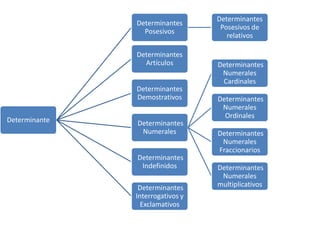 Determinantes
               Determinantes
                                   Posesivos de
                 Posesivos
                                     relativos

               Determinantes
                 Artículos        Determinantes
                                   Numerales
                                   Cardinales
               Determinantes
               Demostrativos      Determinantes
                                   Numerales
                                    Ordinales
Determinante   Determinantes
                Numerales         Determinantes
                                   Numerales
                                  Fraccionarios
               Determinantes
                Indefinidos       Determinantes
                                   Numerales
                Determinantes     multiplicativos
               Interrogativos y
                 Exclamativos
 