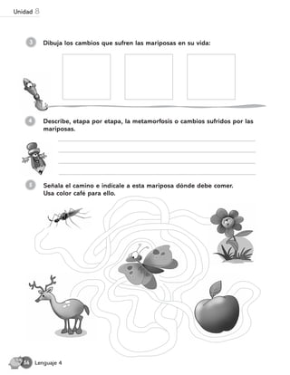 3 Dibuja los cambios que sufren las mariposas en su vida:
Señala el camino e indícale a esta mariposa dónde debe comer.
Usa color café para ello.
4
5
Describe, etapa por etapa, la metamorfosis o cambios sufridos por las
mariposas.
Lenguaje 4
56
Unidad 8
 