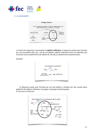 21
2 – EL ADYACENTE
La función de adyacente la desempeña el adjetivo calificativo. El adyacente puede estar formado
por una sola palabra (N) o por más de una palabra: adjetivo calificativo junto con adverbios que
funcionan como complementos del adjetivo (C. del adj.) y complementos preposicionales.
Ejemplos:
El adyacente puede estar formado por una sola palabra o también por dos cuando existe
gradación del adjetivo calificativo: tan guapo, muy guapo, bastante guapo…
En ese caso se analiza así:
 