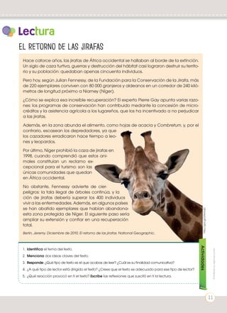 Hace catorce años, las jirafas de África occidental se hallaban al borde de la extinción.
Un siglo de caza furtiva, guerras y destrucción del hábitat casi lograron destruir su territo-
rio y su población: quedaban apenas cincuenta individuos.
Pero hoy, según Julian Fennessy, de la Fundación para la Conservación de la Jirafa, más
de 220 ejemplares conviven con 80 000 granjeros y aldeanos en un corredor de 240 kiló-
metros de longitud próximo a Niamey (Níger).
¿Cómo se explica esa increíble recuperación? El experto Pierre Gay apunta varias razo-
nes: los programas de conservación han contribuido mediante la concesión de micro-
créditos y la asistencia agrícola a los lugareños, que los ha incentivado a no perjudicar
a las jirafas.
Además, en la zona abunda el alimento, como hojas de acacia y Combretum, y, por el
contrario, escasean los depredadores, ya que
los cazadores erradicaron hace tiempo a leo-
nes y leopardos.
Por último, Níger prohibió la caza de jirafas en
1998, cuando comprendió que estos ani-
males constituían un reclamo ex-
cepcional para el turismo: son las
únicas comunidades que quedan
en África occidental.
No obstante, Fennessy advierte de cier- tos
peligros: la tala ilegal de árboles continúa, y la pobla-
ción de jirafas debería superar los 400 individuos para sobre-
vivir a las enfermedades. Además, en algunos países vecinos,
se han abatido ejemplares que habían abandona- d o
esta zona protegida de Níger. El siguiente paso sería
ampliar su extensión y confiar en una recuperación
total.
Berlin, Jeremy. Diciembre de 2010. El retorno de las jirafas. National Geographic.
Lectura
http://goo.gl/2AbGqD
El retorno de las jirafas
1.	 Identifica el tema del texto.
2.	 Menciona dos ideas claves del texto.
3.	 Responde: ¿Qué tipo de texto es el que acabas de leer? ¿Cuál es su finalidad comunicativa?
4.	 ¿A qué tipo de lector está dirigido el texto? ¿Crees que el texto es adecuado para ese tipo de lector?
5.	 ¿Qué reacción provocó en ti el texto? Escribe las reflexiones que suscitó en ti la lectura.
Actividades
Prohibidasureproducción
11
 
