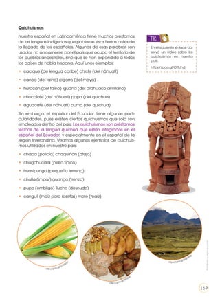 Quichuismos
Nuestro español en Latinoamérica tiene muchos préstamos
de las lenguas indígenas que poblaron esas tierras antes de
la llegada de los españoles. Algunas de esas palabras son
usadas no únicamente por el país que ocupa el territorio de
los pueblos ancestrales, sino que se han expandido a todos
los países de habla hispana. Aquí unos ejemplos:
•	 cacique (de lengua caribe) chicle (del náhuatl)
•	 canoa (del taíno) cigarro (del maya)
•	 huracán (del taíno) iguana (del arahuaco antillano)
•	 chocolate (del náhuatl) papa (del quichua)
•	 aguacate (del náhuatl) puma (del quichua)
Sin embargo, el español del Ecuador tiene algunas parti-
cularidades, pues existen ciertos quichuismos que solo son
empleados dentro del país. Los quichuismos son préstamos
léxicos de la lengua quichua que están integrados en el
español del Ecuador, y especialmente en el español de la
región Interandina. Veamos algunos ejemplos de quichuis-
mos utilizados en nuestro país:
•	 chapa (policía) chaquiñán (atajo)
•	 chugchucara (plato típico)
•	 huasipungo (pequeño terreno)
•	 chulla (impar) guango (trenza)
•	 pupo (ombligo) llucho (desnudo)
•	 canguil (maíz para rosetas) mote (maíz)
En el siguiente enlace ob-
serva un video sobre los
quichuismos en nuestro
país:
https://goo.gl/OTlUhd
TIC
https://goo.gl/pqM0S0
http://goo.gl/tXDE5x
http://goo.gl/G1Mzd7
Prohibidasureproducción
169
 