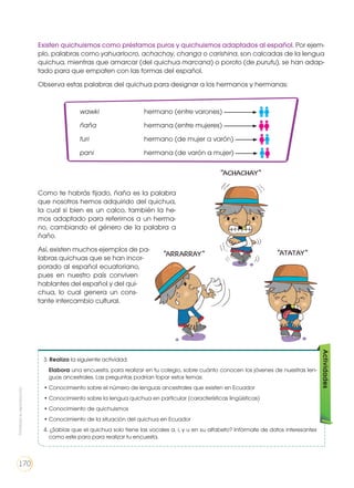 Existen quichuismos como préstamos puros y quichuismos adaptados al español. Por ejem-
plo, palabras como yahuarlocro, achachay, changa o carishina, son calcadas de la lengua
quichua, mientras que amarcar (del quichua marcana) o poroto (de purutu), se han adap-
tado para que empaten con las formas del español.
Observa estas palabras del quichua para designar a los hermanos y hermanas:
Como te habrás fijado, ñaña es la palabra
que nosotros hemos adquirido del quichua,
la cual si bien es un calco, también la he-
mos adaptado para referirnos a un herma-
no, cambiando el género de la palabra a
ñaño.
Así, existen muchos ejemplos de pa-
labras quichuas que se han incor-
porado al español ecuatoriano,
pues en nuestro país conviven
hablantes del español y del qui-
chua, lo cual genera un cons-
tante intercambio cultural.
wawki 			 hermano (entre varones)
ñaña 			 hermana (entre mujeres)
turi 			 hermano (de mujer a varón)
pani 			 hermana (de varón a mujer)
3. Realiza la siguiente actividad.
	 Elabora una encuesta, para realizar en tu colegio, sobre cuánto conocen los jóvenes de nuestras len-
guas ancestrales. Las preguntas podrían topar estos temas:
•	Conocimiento sobre el número de lenguas ancestrales que existen en Ecuador
•	Conocimiento sobre la lengua quichua en particular (características lingüísticas)
•	Conocimiento de quichuismos
•	Conocimiento de la situación del quichua en Ecuador
4. ¿Sabías que el quichua solo tiene las vocales a, i, y u en su alfabeto? Infórmate de datos interesantes
como este para para realizar tu encuesta.
Actividades
Prohibidasureproducción
170
 