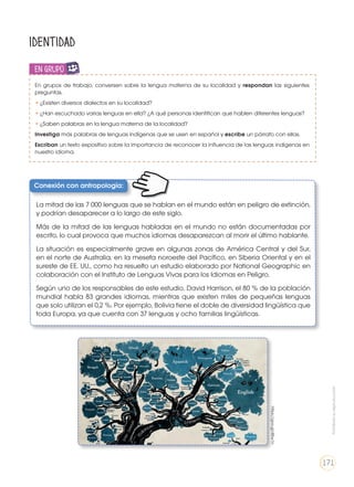 Identidad
En grupos de trabajo, conversen sobre la lengua materna de su localidad y respondan las siguientes
preguntas.
•	¿Existen diversos dialectos en su localidad?
•	¿Han escuchado varias lenguas en ella? ¿A qué personas identifican que hablen diferentes lenguas?
•	¿Saben palabras en la lengua materna de la localidad?
Investiga más palabras de lenguas indígenas que se usen en español y escribe un párrafo con ellas.
Escriban un texto expositivo sobre la importancia de reconocer la influencia de las lenguas indígenas en
nuestro idioma.
en grupoENGR
UPO
YTAMB
IÉN
TIC
S
RECORTA
BLES
CALCULA
DORA
Conexión con antropología:
La mitad de las 7 000 lenguas que se hablan en el mundo están en peligro de extinción,
y podrían desaparecer a lo largo de este siglo.
Más de la mitad de las lenguas habladas en el mundo no están documentadas por
escrito, lo cual provoca que muchos idiomas desaparezcan al morir el último hablante.
La situación es especialmente grave en algunas zonas de América Central y del Sur,
en el norte de Australia, en la meseta noroeste del Pacífico, en Siberia Oriental y en el
sureste de EE. UU., como ha resuelto un estudio elaborado por National Geographic en
colaboración con el Instituto de Lenguas Vivas para los Idiomas en Peligro.
Según uno de los responsables de este estudio, David Harrison, el 80 % de la población
mundial habla 83 grandes idiomas, mientras que existen miles de pequeñas lenguas
que solo utilizan el 0,2 %. Por ejemplo, Bolivia tiene el doble de diversidad lingüística que
toda Europa, ya que cuenta con 37 lenguas y ocho familias lingüísticas.
https://goo.gl/4ISw1n
Prohibidasureproducción
171
 