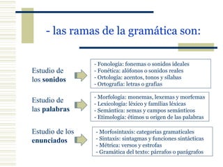 - las ramas de la gramática son: - Fonología: fonemas o sonidos ideales - Fonética: alófonos o sonidos reales - Ortología: acentos, tonos y sílabas - Ortografía: letras o grafías - Morfología: monemas, lexemas y morfemas  - Lexicología: léxico y familias léxicas - Semántica: semas y campos semánticos - Etimología: étimos u origen de las palabras - Morfosintaxis: categorías gramaticales - Sintaxis: sintagmas y funciones sintácticas - Métrica: versos y estrofas - Gramática del texto: párrafos o parágrafos Estudio de los  sonidos Estudio de las  palabras Estudio de los enunciados 