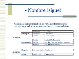 - Nombre (sigue)   - Accidentes del nombre:  Son las variantes formales que experimenta el nombre o sustantivo en la cadena básica. 