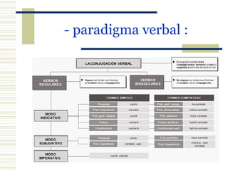 - paradigma verbal : 