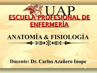 ANATOMÍA & FISIOLOGÍA
Docente: Dr. Carlos Azañero Inope: Dr. Carlos Azañero Inope
ESCUELA PROFESIONAL DEESCUELA PROFESIONAL DE
ENFERMERÍAENFERMERÍA
 