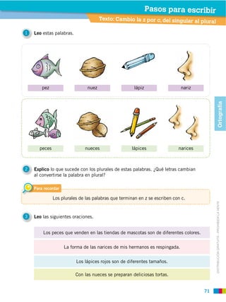 71
DISTRIBUCIÓN GRATUITA ­ PROHIBIDA LA VENTA
1 Leo estas palabras.
2 Explico lo que sucede con los plurales de estas palabras. ¿Qué letras cambian
al convertirse la palabra en plural?
3 Leo las siguientes oraciones.
Para recordar
Los plurales de las palabras que terminan en z se escriben con c.
Los peces que venden en las tiendas de mascotas son de diferentes colores.
Los lápices rojos son de diferentes tamaños.
Con las nueces se preparan deliciosas tortas.
La forma de las narices de mis hermanos es respingada.
peces nueces lápices narices
pez nuez lápiz nariz
Texto: Cambio la z por c, del singular al plural
Pasos para escribir
Ortografía
 