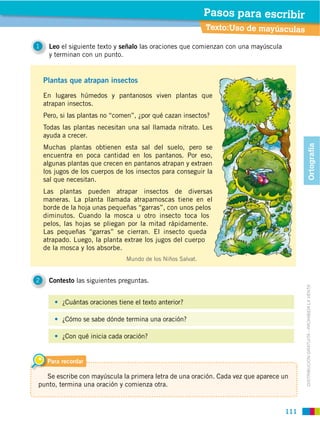 Pasos para escribir
                                                             Texto:Uso de mayúsculas

1    Leo el siguiente texto y señalo las oraciones que comienzan con una mayúscula
     y terminan con un punto.


    Plantas que atrapan insectos
    En lugares húmedos y pantanosos viven plantas que
    atrapan insectos.
    Pero, si las plantas no “comen”, ¿por qué cazan insectos?
    Todas las plantas necesitan una sal llamada nitrato. Les
    ayuda a crecer.




                                                                                             Ortografía
    Muchas plantas obtienen esta sal del suelo, pero se
    encuentra en poca cantidad en los pantanos. Por eso,
    algunas plantas que crecen en pantanos atrapan y extraen
    los jugos de los cuerpos de los insectos para conseguir la
    sal que necesitan.
    Las plantas pueden atrapar insectos de diversas
    maneras. La planta llamada atrapamoscas tiene en el
    borde de la hoja unas pequeñas “garras”, con unos pelos
    diminutos. Cuando la mosca u otro insecto toca los
    pelos, las hojas se pliegan por la mitad rápidamente.
    Las pequeñas “garras” se cierran. El insecto queda
    atrapado. Luego, la planta extrae los jugos del cuerpo
    de la mosca y los absorbe.
                                Mundo de los Niños Salvat.


2    Contesto las siguientes preguntas.



                                                                                           DISTRIBUCIÓN GRATUITA ­ PROHIBIDA LA VENTA
          ¿Cuántas oraciones tiene el texto anterior?

          ¿Cómo se sabe dónde termina una oración?

          ¿Con qué inicia cada oración?


     Para recordar

  Se escribe con mayúscula la primera letra de una oración. Cada vez que aparece un
punto, termina una oración y comienza otra.



                                                                                     111
 