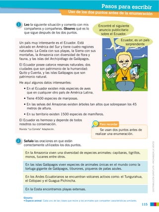 Pasos para escribir
                                                Uso de los dos puntos antes de la enume
                                                                                       ración

1       Leo la siguiente situación y comento con mis                        Encontré el siguiente
        compañeros y compañeras. Observo qué es lo                          anuncio publicitario
        que sigue después de los dos puntos.                                 sobre el Ecuador.
                                                                                                 Ecuador, es un país
    Un país muy interesante es el Ecuador. Está                                                     sorprendente
    ubicado en América del Sur y tiene cuatro regiones
    naturales: La Costa con sus playas, la Sierra con sus
    montañas, la Amazonia con diversidad de flora y
    fauna, y las islas del Archipiélago de Galápagos.
    El Ecuador posee catorce reservas naturales; dos
    ciudades que son patrimonio de la humanidad:
    Quito y Cuenta, y las islas Galápagos que son
    patrimonio natural.
    He aquí algunos datos interesantes:

          que en cualquier otro país de América Latina.



          metros de altura.


    El Ecuador es hermoso y depende de todos
    nosotros su conservación.                                                Para recordar
    Revista “La Cometa” Adaptación.                                         Se usan dos puntos antes de
                                                                         realizar una enumeración.

2       Señalo las oraciones en que están


                                                                                                                          DISTRIBUCIÓN GRATUITA ­ PROHIBIDA LA VENTA
        correctamente utilizados los dos puntos.

         En la Amazonia viven una diversidad de especies animales: capibaras, tigrillos,
         monos, tucanes entre otros.

         En las islas Galápagos viven especies de animales únicas en el mundo como la
         tortuga gigante de Galápagos, tiburones, piqueros de patas azules.

         En los Andes Ecuatorianos se encuentran volcanes activos como: el Tungurahua,
         el Cotopaxi y el Guagua Pichincha.

         En la Costa encontramos playas extensas.

       Glosario:
                       : Cada uno de las clases que reúne a los animales que comparten características similares.
                                                                                                                    115
 