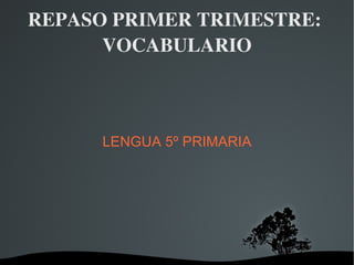 REPASO PRIMER TRIMESTRE:  VOCABULARIO ,[object Object],  
