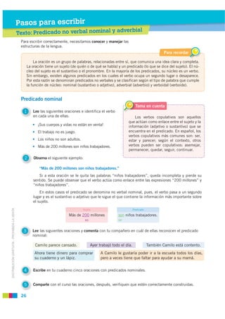 Pasos para escribir
                                                                                  erbial
                                             Text P di ado no verbal nominal y adv
                                                to: Predic do
                                              Para escribir correctamente, necesitamos conocer y manejar las
                                              estructuras de la lengua.
                                                                                                                                             Para recordar

                                                       La oración es un grupo de palabras, relacionadas entre sí, que comunica una idea clara y completa.
                                                   La oración tiene un sujeto (de quién o de qué se habla) y un predicado (lo que se dice del sujeto). El nú-
                                                   cleo del sujeto es el sustantivo o el pronombre. En la mayoría de los predicados, su núcleo es un verbo.
                                                   Sin embargo, existen algunos predicados en los cuales el verbo ocupa un segundo lugar o desaparece.
                                                   Por esta razón se denominan predicados no verbales y se clasifican según el tipo de palabra que cumple
                                                   la función de núcleo: nominal (sustantivo o adjetivo), adverbial (adverbio) y verboidal (verboide).


                                              Predicado nominal
                                                                                                                          T
                                                                                                                          Toma en cuenta
                                               1       Lee las siguientes oraciones e identifica el verbo
                                                       en cada una de ellas:                                          Los verbos copulativos son aquellos
                                                                                                                  que actúan como enlace entre el sujeto y la
                                                      • ¡Sus cuerpos y vidas no están en venta!                   información (adjetivo o sustantivo) que se
                                                      • El trabajo no es juego.                                   encuentra en el predicado. En español, los
                                                                                                                  verbos copulativos más comunes son: ser,
                                                      • Los niños no son adultos.                                 estar y parecer; según el contexto, otros
                                                      • Más de 200 millones son niños trabajadores.               verbos pueden ser copulativos: asemejar,
                                                                                                                  permanecer, quedar, seguir, continuar.

                                                2      Observa el siguiente ejemplo:

                                                          “Más de 200 millones son niños trabajadores.”
                                                           Si a esta oración se le quita las palabras “niños trabajadores”, queda incompleta y pierde su
                                                       sentido. Se puede observar que el verbo actúa como enlace entre las expresiones “200 millones” y
                                                       “niños trabajadores”.
                                                           En estos casos el predicado se denomina no verbal nominal, pues, el verbo pasa a un segundo
                                                       lugar y es el sustantivo o adjetivo que le sigue el que contiene la información más importante sobre
                                                       el sujeto.
DISTRIBUCIÓN GRATUITA - PROHIBIDA LA VENTA




                                                                                     Sujeto                             Predicado

                                                                            Más de 200 millones             son niños trabajadores.
                                                                                       NS                   NP



                                               3      Lee las siguientes oraciones y comenta con tu compañero en cuál de ellas reconocen el predicado
                                                      nominal:

                                                        Camilo parece cansado.              Ayer trabajó todo el día.               También Camilo está contento.
                                                       Ahora tiene dinero para comprar            A Camilo le gustaría poder ir a la escuela todos los días,
                                                       su cuaderno y un lápiz.                    pero a veces tiene que faltar para ayudar a su mamá.


                                               4       Escribe en tu cuaderno cinco oraciones con predicados nominales.


                                               5       Comparte con el curso las oraciones, después, verifiquen que estén correctamente construidas.

                                              26
 