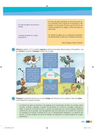 El canto del gallo saludando el nuevo día suena en
                                                                       los contornos como el gallo de la esperanza y del
                         El canto del gallo nos anima al               trabajo; no hay pecho humano que al oírlo no se
                         trabajo.                                      sienta animado de un alegre y vivificante soplo de
                                                                       optimismo.


                         La pelea de gallos es un gran                 Un desafío de gallos era un espectáculo enajenado
                         espectáculo                                   de sorprendentes incidencias y múltiples emociones.


                                                                                           José S Alegría: Pepe el Gallero



                 2     Observa el gráfico. En tu cuaderno organiza y relaciona las ideas seleccionadas en otro gráfico. Lue-
                       go, escribe tu resumen. Comparte el texto con tu clase.

                                                                 Su bello plumaje,
                                                                 su porte altivo, el
                                                                 arrastre de su ala,
                                                                su ojo vigilante y su
                                                                 conocimiento del
                                                                tiempo, lo hacen el
                                                                  sultán del corral.

                                        Presente durante
                                       toda la historia de
                                       la humanidad: do-                                      La pelea de
                                        mesticado por los             GALLO                gallos es un gran
                                      chinos, presente en                                    espectáculo.
                                        la biblia, símbolo
                                                         o
                                           de Francia.

                                                                 E
                                                                 Enseña a: madru-
                                                                      ña          u
                                                                gar, combat r, com-
                                                                       mbati
                                                                  partir, proteger.
                                                                             t                                                        DISTRIBUCIÓN GRATUITA - PROHIBIDA LA VENTA




                 3     Compara el siguiente resumen con el tuyo. Corrige este resumen en tu cuaderno. Para ello utiliza,
                       como referencia, el grafico anterior.


                           La historia del gallo se remonta a los orígenes de la humanidad. El gallo nos enseña cuatro
                           virtudes: combatir, madrugar, compartir los alimentos con la familia y proteger y defender el
                           hogar. A través de la historia ha sido un animal muy apreciado por muchos pueblos. Mediante
                           la exhibición de su plumaje, hace del galanteo toda una ceremonia: es el sultán del corral por
                           su majestad en el andar, el arrastre de su ala, su temperamento batallador y su sabiduría del
                           tiempo. El canto del gallo nos anima al trabajo y la esperanza. La pelea de gallos es un gran
                           espectáculo.


                                                                                                                        185


L9 B5 LIBRO.indd 185                                                                                                           07/02/11 13:10
 