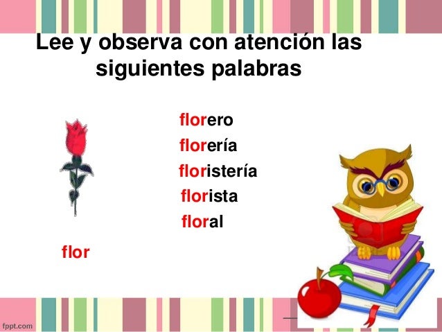 Lengua B5 familia de palabras