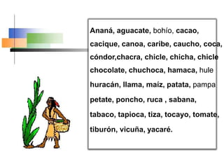 Ananá, aguacate, bohío, cacao,
cacique, canoa, caribe, caucho, coca,
cóndor,chacra, chicle, chicha, chicle
chocolate, chuchoca, hamaca, hule
huracán, llama, maíz, patata, pampa
petate, poncho, ruca , sabana,
tabaco, tapioca, tiza, tocayo, tomate,
tiburón, vicuña, yacaré.
 