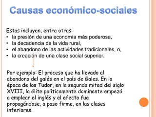 Estas incluyen, entre otras:
• la presión de una economía más poderosa,
• la decadencia de la vida rural,
• el abandono de las actividades tradicionales, o,
• la creación de una clase social superior.


Por ejemplo: El proceso que ha llevado al
abandono del galés en el país de Gales. En la
época de los Tudor, en la segunda mitad del siglo
XVIII, la élite políticamente dominante empezó
a emplear el inglés y el efecto fue
propagándose, a paso firme, en las clases
inferiores.
 