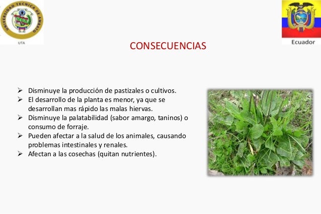 al aire libre putas viejas ricas al aire libre putas viejas ricas
