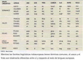 Mientras las familias lingüísticas indoeuropeas tienen términos comunes, el vasco y el finés son totalmente diferentes entre sí y respecto al resto de lenguas europeas.  