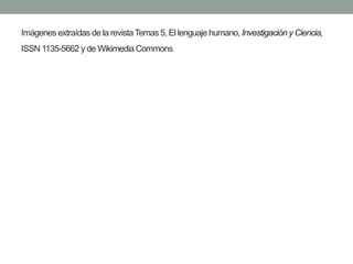 Imágenes extraídas de la revista Temas 5, El lenguaje humano, Investigación y Ciencia, ISSN 1135-5662 y de WikimediaCommons 