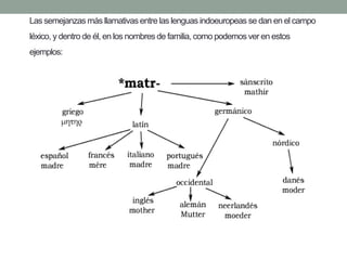 Las semejanzas más llamativas entre las lenguas indoeuropeas se dan en el campo léxico, y dentro de él, en los nombres de familia, como podemos ver en estos ejemplos:  