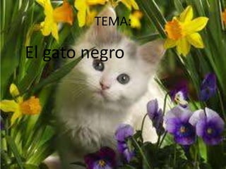 TEMA:
El gato negro
 
