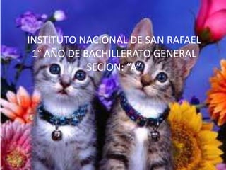INSTITUTO NACIONAL DE SAN RAFAEL
1° AÑO DE BACHILLERATO GENERAL
SECION: “A”
 