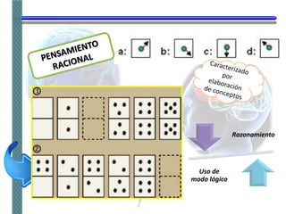Razonamiento
Uso de
modo lógico
 