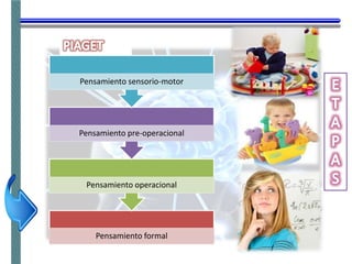 Pensamiento formal
Pensamiento operacional
Pensamiento pre-operacional
Pensamiento sensorio-motor
 