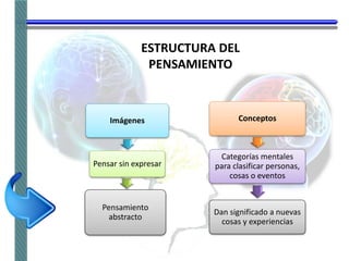 ESTRUCTURA DEL
PENSAMIENTO
Imágenes
Pensar sin expresar
Pensamiento
abstracto
Conceptos
Categorías mentales
para clasificar personas,
cosas o eventos
Dan significado a nuevas
cosas y experiencias
 