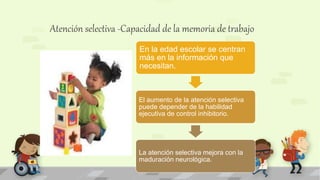 Atención selectiva -Capacidad de la memoria de trabajo
En la edad escolar se centran
más en la información que
necesitan.
El aumento de la atención selectiva
puede depender de la habilidad
ejecutiva de control inhibitorio.
La atención selectiva mejora con la
maduración neurológica.
 