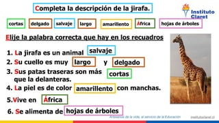 Completa la descripción de la jirafa.
Elije la palabra correcta que hay en los recuadros
1. La jirafa es un animal
2. Su cuello es muy y
3. Sus patas traseras son más
que la delanteras.
4. La piel es de color con manchas.
5.Vive en
6. Se alimenta de
cortas delgado salvaje largo amarillento África hojas de árboles
largo delgado
cortas
amarillento
África
hojas de árboles
salvaje
 