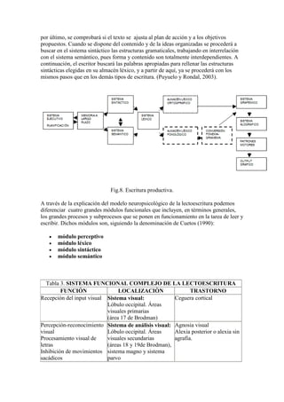 por último, se comprobará si el texto se ajusta al plan de acción y a los objetivos
propuestos. Cuando se dispone del contenido y de la ideas organizadas se procederá a
buscar en el sistema sintáctico las estructuras gramaticales, trabajando en interrelación
con el sistema semántico, pues forma y contenido son totalmente interdependientes. A
continuación, el escritor buscará las palabras apropiadas para rellenar las estructuras
sintácticas elegidas en su almacén léxico, y a partir de aquí, ya se procederá con los
mismos pasos que en los demás tipos de escritura. (Puyuelo y Rondal, 2003).




                               Fig.8. Escritura productiva.

A través de la explicación del modelo neuropsicológico de la lectoescritura podemos
diferenciar cuatro grandes módulos funcionales que incluyen, en términos generales,
los grandes procesos y subprocesos que se ponen en funcionamiento en la tarea de leer y
escribir. Dichos módulos son, siguiendo la denominación de Cuetos (1990):

       módulo perceptivo
       módulo léxico
       módulo sintáctico
       módulo semántico



   Tabla 3. SISTEMA FUNCIONAL COMPLEJO DE LA LECTOESCRITURA
         FUNCIÓN                LOCALIZACIÒN                 TRASTORNO
Recepción del input visual Sistema visual:            Ceguera cortical
                           Lóbulo occipital. Áreas
                           visuales primarias
                           (área 17 de Brodman)
Percepción-reconocimiento Sistema de análisis visual: Agnosia visual
visual                     Lóbulo occipital. Áreas    Alexia posterior o alexia sin
Procesamiento visual de    visuales secundarias       agrafía.
letras                     (áreas 18 y 19de Brodman),
Inhibición de movimientos sistema magno y sistema
sacádicos                  parvo
 