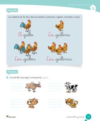 _cincuenta y nueve
Las palabras el, la, los y las acompañan a personas, lugares, animales o cosas.
Aprende
2. Escribe El o La según corresponda. Aplicar
Practica
Reconocer y aplicar artículos deﬁnidos
Las _gallinas
La _gallinaEl _galloEl _galloEl _galloEl
Los _gallosLos _gallosLos _gallosLos
59
 