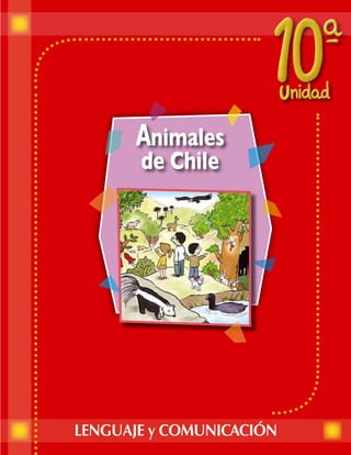 Es un puma, y ese
                           que está más cerca
Abuelo, ¿cómo se            es un colo-colo.
llama ese animal           ¿Sabían que existe
  que parece un            un animal llamado
      gato?                    colo-colo?

                                                     ¡Abuelo! ¡Mira! Un
                                                      pájaro carpintero.




      En Chile existen varias especies de animales
                en peligro de extinción.




                           56
 