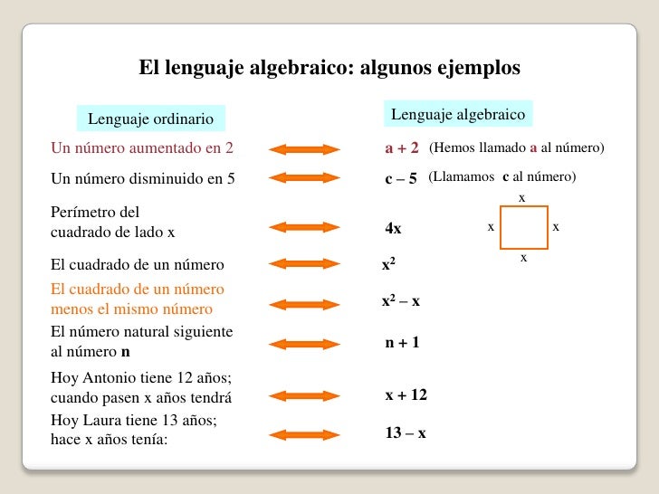 Lenguaje algebraico
