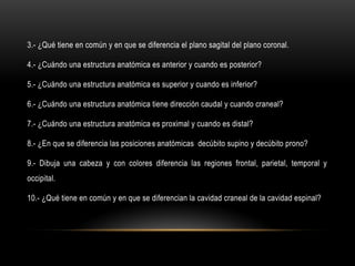 3.- ¿Qué tiene en común y en que se diferencia el plano sagital del plano coronal.
4.- ¿Cuándo una estructura anatómica es anterior y cuando es posterior?
5.- ¿Cuándo una estructura anatómica es superior y cuando es inferior?
6.- ¿Cuándo una estructura anatómica tiene dirección caudal y cuando craneal?
7.- ¿Cuándo una estructura anatómica es proximal y cuando es distal?
8.- ¿En que se diferencia las posiciones anatómicas decúbito supino y decúbito prono?
9.- Dibuja una cabeza y con colores diferencia las regiones frontal, parietal, temporal y
occipital.
10.- ¿Qué tiene en común y en que se diferencian la cavidad craneal de la cavidad espinal?
 