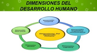 DIMENSIONES DEL
DESARROLLO HUMANO
 