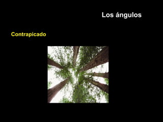 Los ángulos
Contrapicado
 