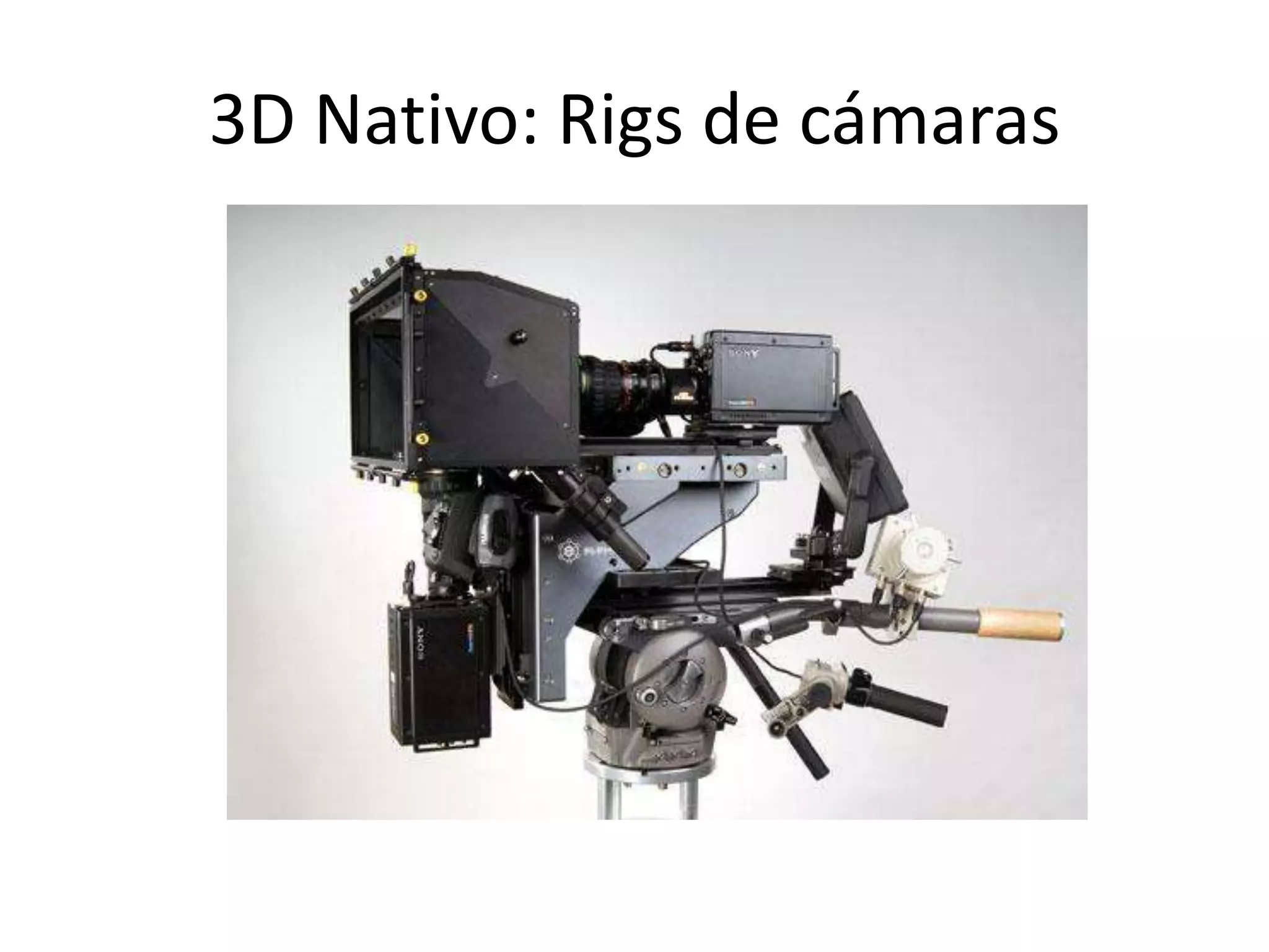 3D Nativo: Rigs de cámaras
 