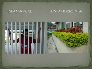 LINEA VERTICAL                         LINEA HORIZONTAL