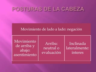 POSTURAS DE LA CABEZA