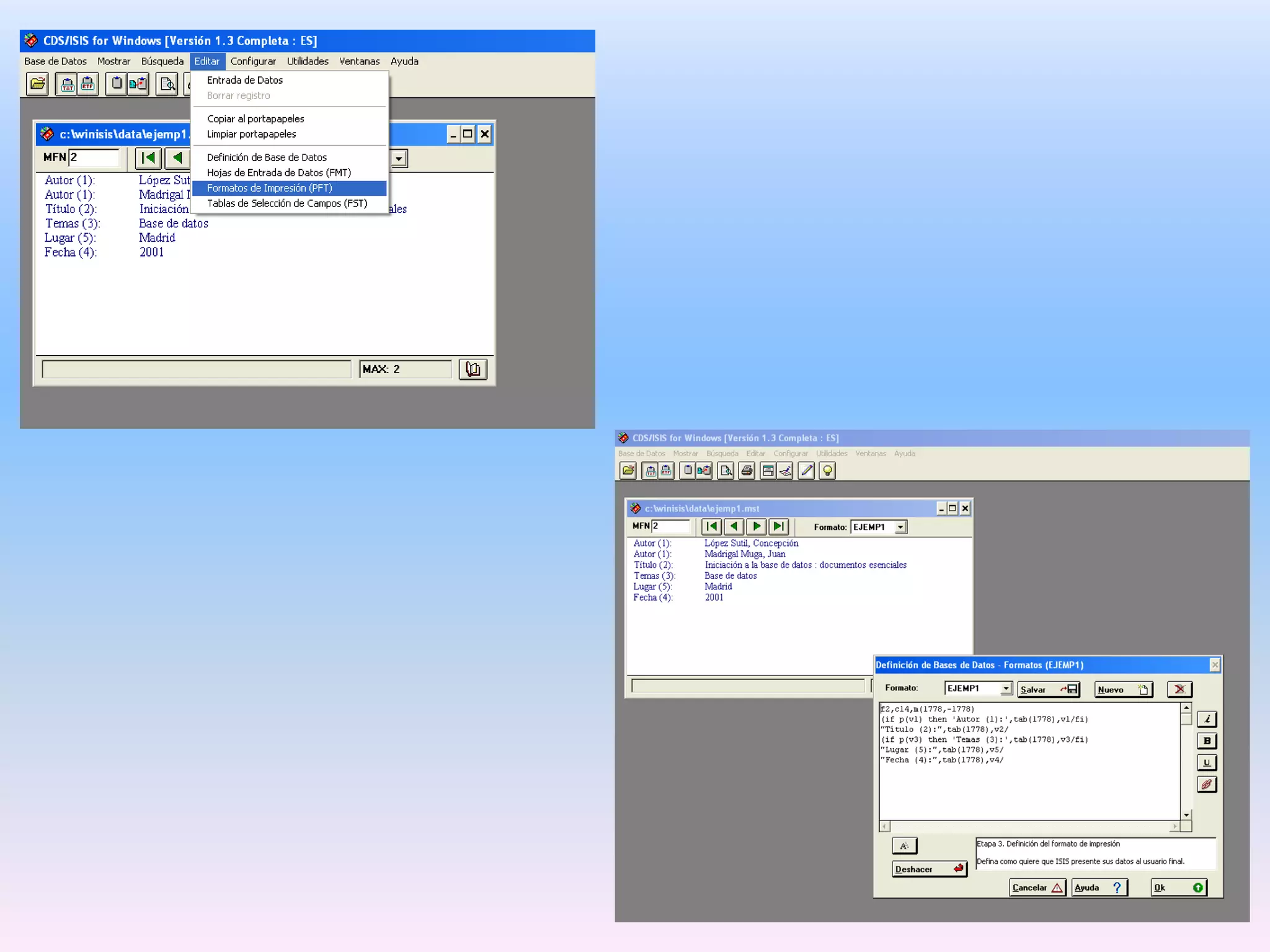 Lenguaje de formateo
