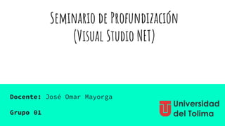 Seminario de Profundización
(Visual Studio NET)
Docente: José Omar Mayorga
Grupo 01
 