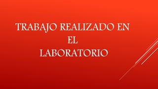 TRABAJO REALIZADO EN
EL
LABORATORIO
 