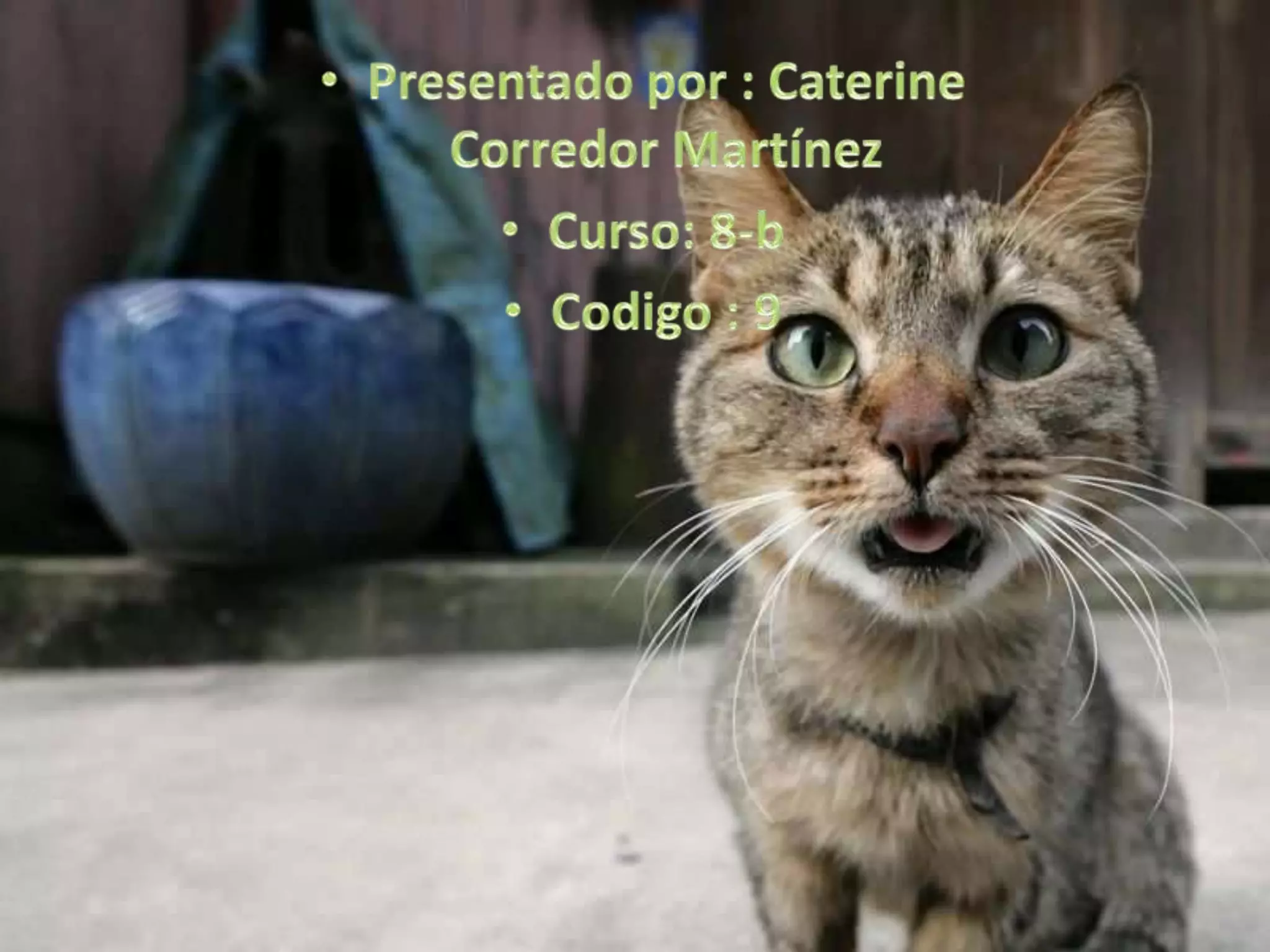 Lenguaje de programacion